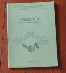 Banatica - Nicolaie Gudea - Gornea / Asezari din epoca romana si romana tirzie foto