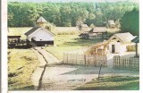 % carte postala (ilustrata)- SIBIU-Gospodarie de pescar - din Muzeul Tehnicii