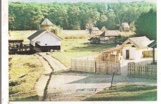 % carte postala (ilustrata)- SIBIU-Gospodarie de pescar - din Muzeul Tehnicii