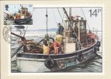 2417 - Anglia 1981 - carte maxima