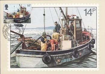 2417 - Anglia 1981 - carte maxima foto