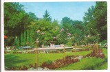 % carte postala (ilustrata)-BUZIAS-Vedere din parc