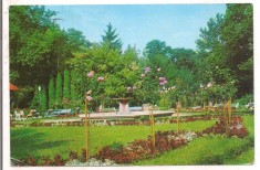 % carte postala (ilustrata)-BUZIAS-Vedere din parc