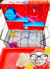 Casuta pentru Hamsteri Inteligenti foto