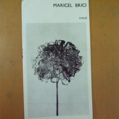 Maricel Brici pliant expozitie sticla forme decrorative Bucuresti 1976 Amfora