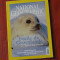 Revista National Geographic Romania - martie 2004 - 132 pagini