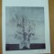 George Filipescu catalog expozitie pictura Bucuresti 1977 galeria Simeza