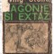 (C6115) AGONIE SI EXTAZ DE IRVING STONE