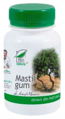 Mastic Gum 60 cps foto