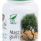 Mastic Gum 60 cps