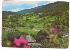 % carte postala (ilustrata)-BORSA-Jud Cluj
