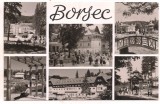 % carte postala (ilustrata)-BORSEC -colaj, Circulata, Printata