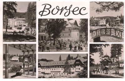 % carte postala (ilustrata)-BORSEC -colaj foto