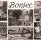 % carte postala (ilustrata)-BORSEC -colaj