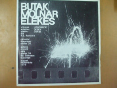 A. Butak L. Molnar K. Elekes catalog expozitie litografie desen guase 1976 foto