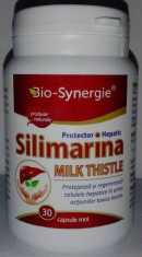 Silimarina Milk Thistle foto