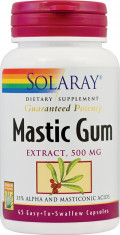 Mastic Gum foto