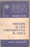 (C6129) PRINCIPII SI LEGI FUNDAMENTALE IN FIZICA DE GHEORGHE HUTANU