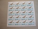 Feroe 1977 fauna pasari MI 28-30 MNH w03 coli intregi