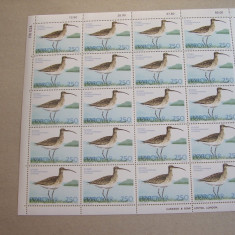 Feroe 1977 fauna pasari MI 28-30 MNH w03 coli intregi