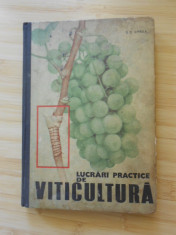 D. D. OPREA--LUCRARI PRACTICE DE VITICULTURA foto