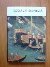 n3 Manole Neagoe - Scoala sieneza