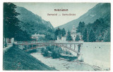 396 - HERCULANE, Caras-Severin, Bridge - old postcard - unused, Necirculata, Printata