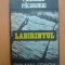 n3 Labirintul - Francisc Pacurariu