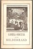 Camera obscura a lui Hildebrand, 1968