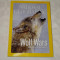 National Geographic - march 2010 - Wolf wars - Once protected, now hunted