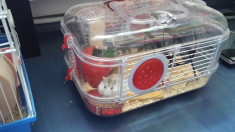 CUSCA HAMSTER / CADOU HAMSTER plus CADOU foto