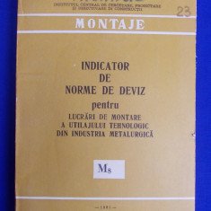 INDICATOR DE NORME DE DEVIZ PENTRU LUCRARI DE MONTARE IND.METALURGICA (M8 )-1981