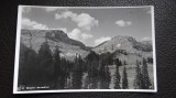 Carte postala - Bucegi - Batrana