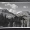 Carte postala - Bucegi - Batrana