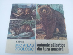 MIC ATLAS ZOOLOGIC : ANIMALE SALBATICE DIN TARA NOASTRA, N. SAFTOIU/1986 foto