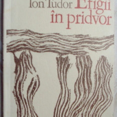 ION TUDOR - EFIGII IN PRIDVOR (POEME) [editia princeps, 1974 / tiraj 460 ex.]