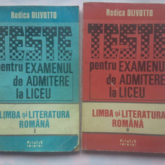 TESTE PENTRU EXEMENUL DE ADMITERE LA LICEU - LIMBA SI LITERATURA ROMANA (2 VOL.)