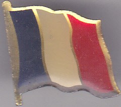 Insigna Steag Franta foto