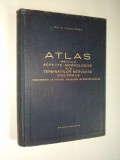 Atlas privind aspecte morfologice ale terminatiilor nervoase viscerale