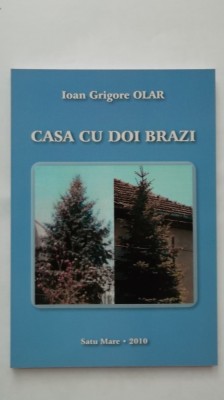 Ioan Grigore Olar - Casa cu doi brazi foto