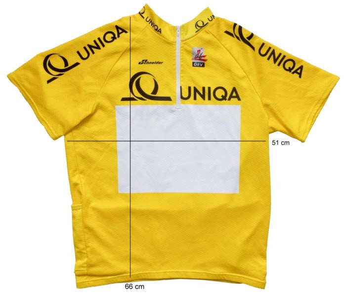 Tricou bicicleta ciclism SCHNEIDER tesatura fagure, impecabil (M) cod-170032 foto mare Tricou bicicleta ciclism SCHNEIDER tesatura fagure, impecabil (M) cod-170032 foto mare