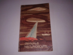 I.Negulescu - Semnale necunoscute foto