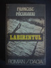 FRANCISC PACURARIU - LABIRINTUL, 1986