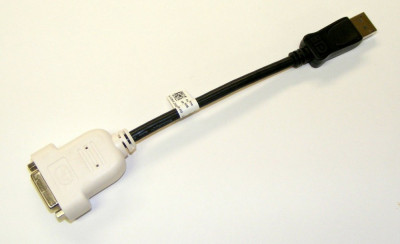 Cablu video BizLink DisplayPort - DVI (24+1) / Display Port (254) foto