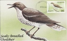 1654 - St.Kitts 1981 - carte maxima foto