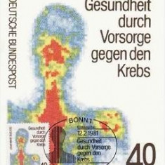 1642 - Germania 1981 - carte maxima