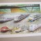 Ciad 1998 trenuri 1606-1611 kleib. + bl.278 MNH w05