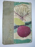 Pomicultura - E. Manughevici.-N. Meza-I. Pasc-D. Prica- 1965