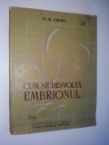 Cum se desvolta embrionul - 1953
