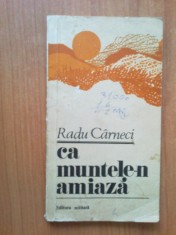 n4 Radu Carneci - Ca muntele-n amiaza